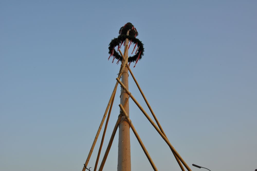 Maibaum Ambach 2014