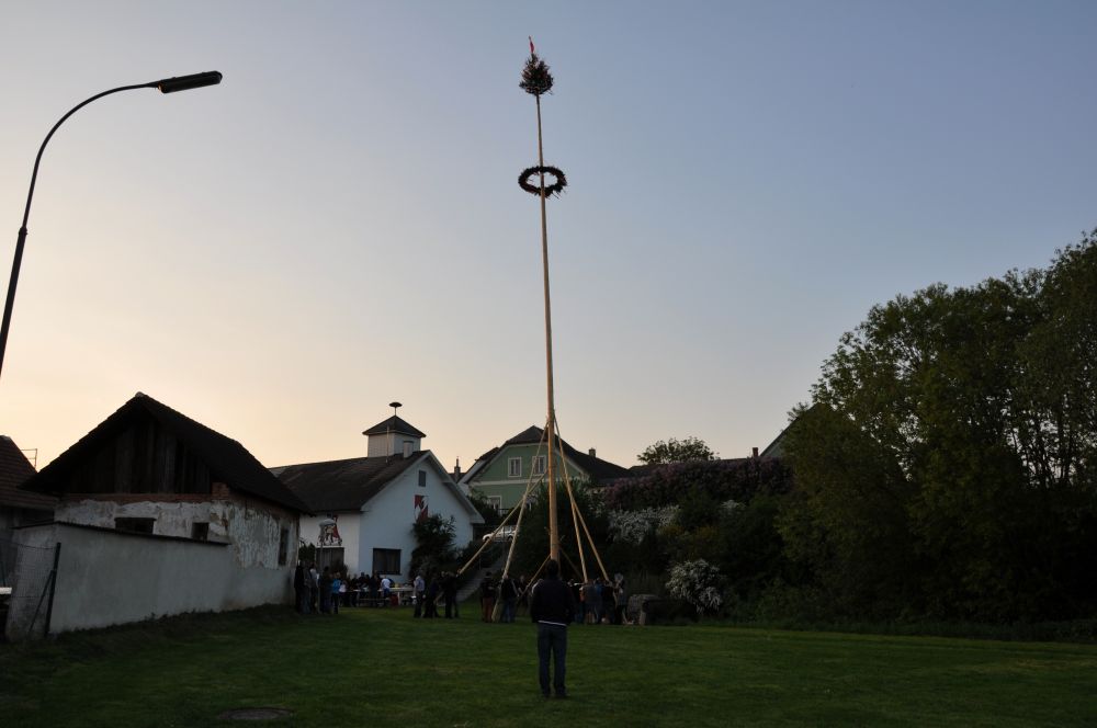 Maibaum Ambach 2014