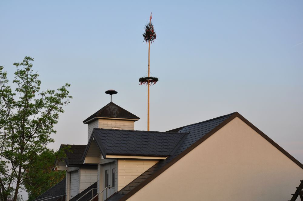 Maibaum Ambach 2014