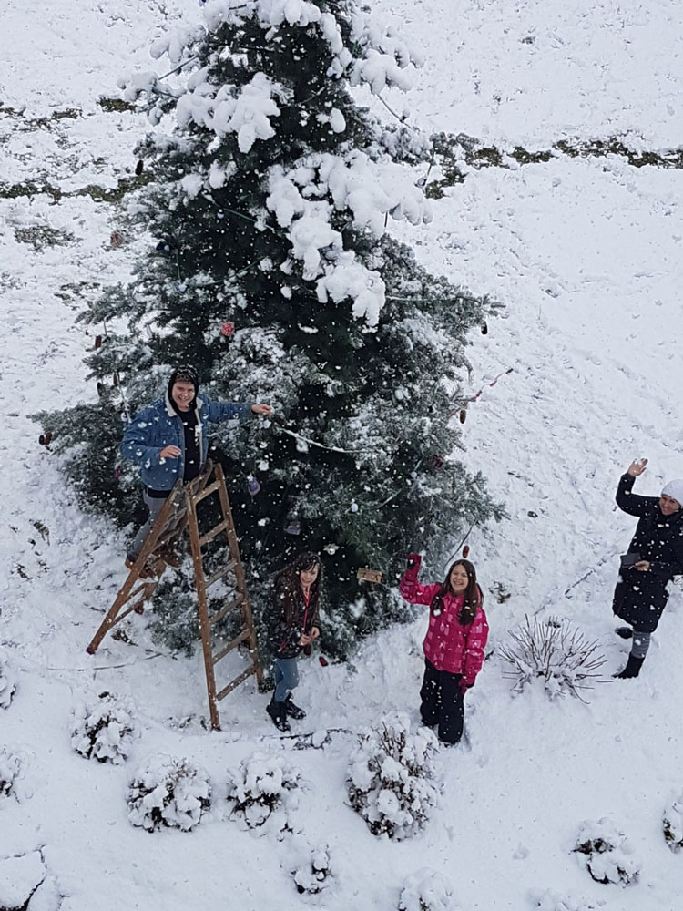 Christbaum schmücken – Freiraum Leben