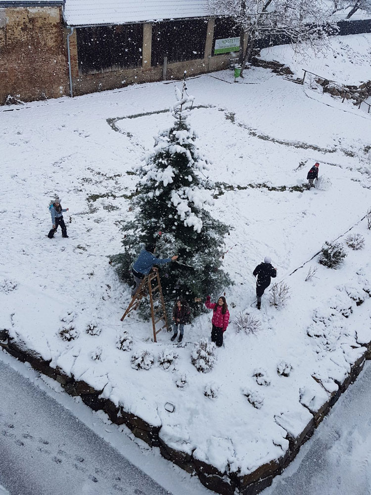 Christbaum schmücken – Freiraum Leben
