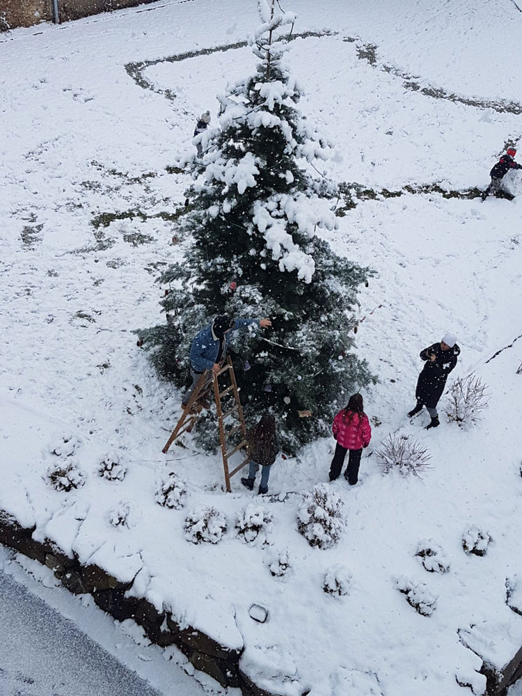 Christbaum schmücken – Freiraum Leben