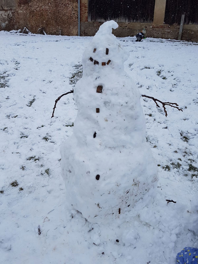 Christbaum schmücken – Freiraum Leben