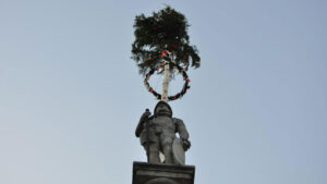 Maibaum 2013