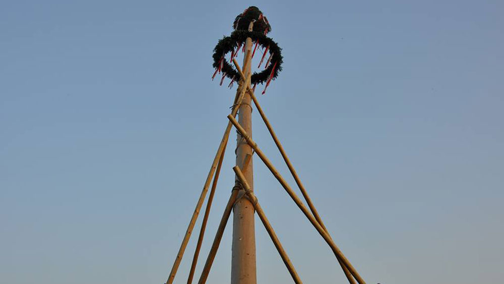 Maibaum Ambach 2014