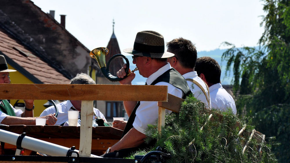 Bauernmarkt 2016