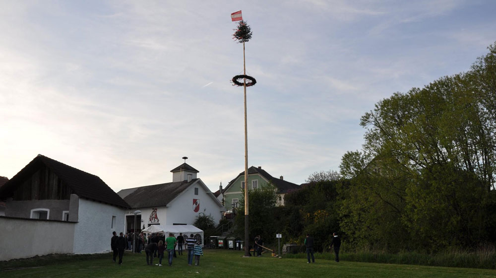 Maibaum Ambach 2016