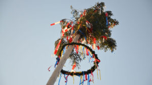 Maibaum 2016