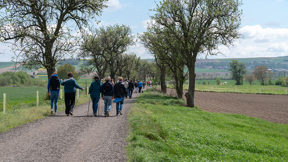 2019 Rote Nasen Lauf