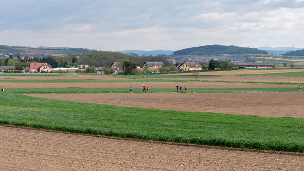 2019 Rote Nasen Lauf